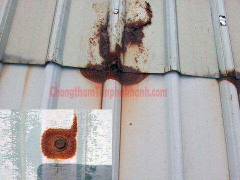 Chân đinh vít mái tôn bị gỉ sét và mục vị trí chồng sóng tôn