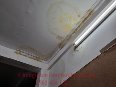 mái nhà bị thấm dột vết ố vàng rêu mốc cần xử lý chống thấm