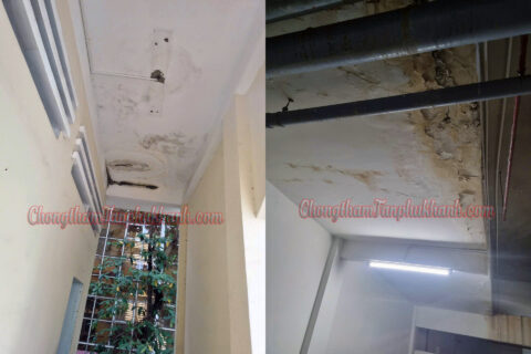 Chống thấm sàn mái mùa mưa: hiện trạng nứt và thấm dột trước khi xử lý
