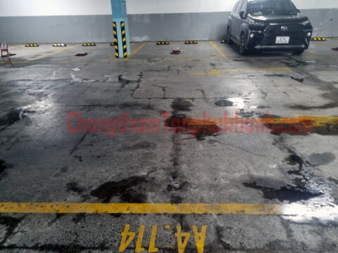 Nước thấm lên từ nền tầng hầm chung cư