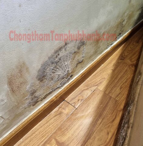 Chân tường bị ẩm mốc và kết tinh muối do nước mao dẫn từ nền lên