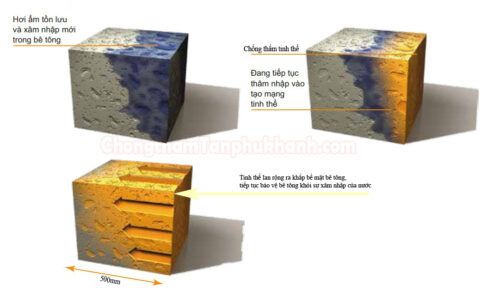 cơ chế hoạt động chống thấm ngược tinh thể thẩm thấu