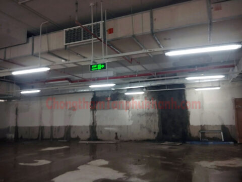 Khảo sát đánh dấu vị trí thấm ngược trước khi thi công tinh thể thẩm thấu